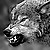 :iconchanteloupe: