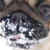 :iconchantill: