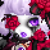 ChaoaAngelMoon :iconchaoaangelmoon: