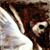 :iconchaos-continuum: