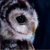 chaos-walking59 :iconchaos-walking59: