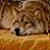 :iconchaosburst: