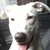 chaoscifer :iconchaoscifer: