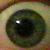 :iconchaosdragonfire: