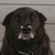 ChaosKnuckles999 :iconchaosknuckles999: