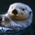 :iconchaotic-binky: