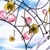 :iconchaotic-dog: