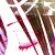 :iconchaotic-pegasi: