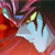 chaotic-wizard :iconchaotic-wizard: