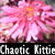 :iconchaotic00: