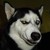 :iconchaoticore23: