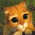 :iconchapdu: