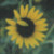 :iconchar-bar: