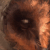 Charaky :iconcharaky: