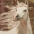 :iconcharalynn: