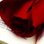 :iconcharcoalwraith: