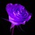 :iconchargerneil: