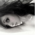:iconcharleefay: