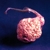 :iconCharleSteuck: