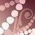 :iconcharli-baby: