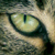 :iconCharlie-is-a-girl: