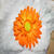 :iconcharlie-owl: