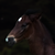 :iconcharlieannex: