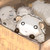 :iconcharliehero: