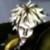 CharlieMacDonaldplz :iconcharliemacdonaldplz: