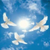 :iconcharliemc1: