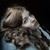 :iconcharlotte-caroline: