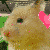 :iconcharlotte9-x: