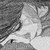 :iconcharlotteblue: