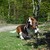 CharlottevanEssen98 :iconcharlottevanessen98:
