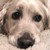 :iconcharmingsmile: