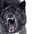 :iconcharredwolf: