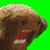 :iconchartreuse-child: