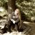 :iconcharvelle03: