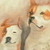:iconchaser1964:
