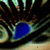 :iconchaserofrainbows: