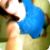 :iconchasingpain: