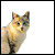 :iconchasityxx: