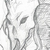Chasmothyst :iconchasmothyst: