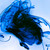 :iconchaswilliamsdotcom: