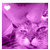 :iconchat-noir: