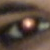 :iconchatsauvage: