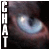 :iconChatSiamois: