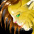 :iconchatte-noire: