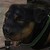 Chaudown450 :iconchaudown450: