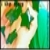 :iconcheap-m0nday: